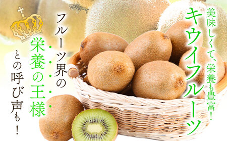 キウイフルーツ(和歌山県産)大玉サイズ 和歌山県産キウイフルーツ約2kg(サイズおまかせ)・秀品 紀の川市