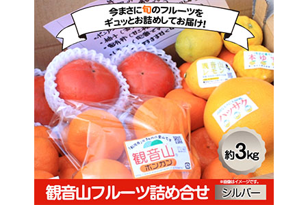 観音山フルーツ詰め合わせ(シルバー) 約3kg 有限会社柑香園 《60日以内に出荷予定(土日祝除く)》 和歌山県 紀の川市 フルーツ 果物