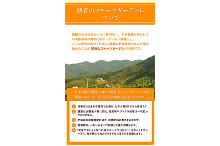 観音山フルーツ詰め合わせ(シルバー) 約3kg 有限会社柑香園 《60日以内に出荷予定(土日祝除く)》 和歌山県 紀の川市 フルーツ 果物