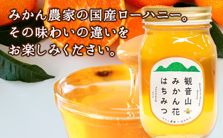 観音山みかんはちみつ600g 有限会社柑香園 《90日以内に出荷予定(土日祝除く)》和歌山県 紀の川市 蜂蜜 ハチミツ ローハニー