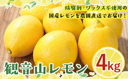 ノーワックス レモン 檸檬 観音山レモン ワックス不使用 4kg(30玉-40玉前後) 有限会社柑香園【先行予約】《2025年10月中旬-2026年3月末頃出荷》和歌山県 紀の川市 フルーツ 果物 柑橘 檸檬 レモン 7,020円