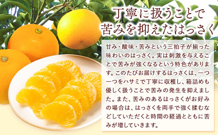 観音山 はっさく 3kg (約9玉-12玉前後)