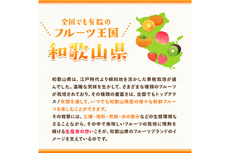 【先行予約】八朔約5kg(3L-Lサイズ)JAわかやま 紀の里地域本部 《2026年1月上旬-3月末頃出荷》 和歌山県 紀の川市 果物 フルーツ 柑橘 はっさく
