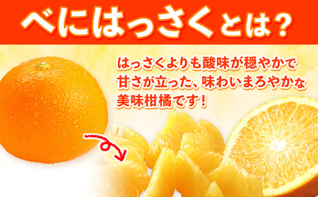【先行予約】紅八朔(ポッポ) 5kg(3L-L) JAわかやま 紀の里地域本部 《2026年3月中旬-3月末頃出荷》 和歌山県 紀の川市 果物 フルーツ 柑橘 はっさく