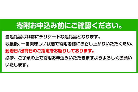 桃 もも 和歌山県産 なつっこ 5～8玉入り ≪赤秀≫ 桃 モモ もも 株式