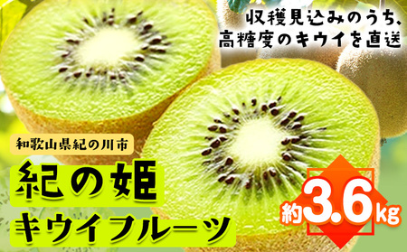 【先行予約】和歌山県紀の川市産 紀の姫キウイフルーツ約3.6kg【サイズお任せ/秀品】 紀の川市厳選館 《2027年1月中旬-3月末頃出荷予定》 和歌山県 紀の川市 果物 フルーツ キウイ 紀の姫