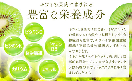 【先行予約】和歌山県紀の川市産 紀の姫キウイフルーツ約3.6kg【サイズお任せ/秀品】 紀の川市厳選館 《2027年1月中旬-3月末頃出荷予定》 和歌山県 紀の川市 果物 フルーツ キウイ 紀の姫