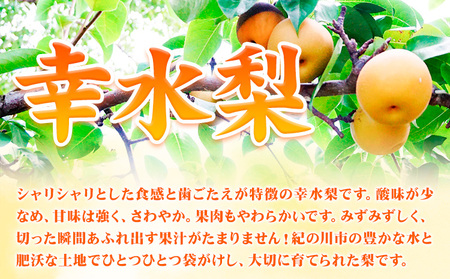 【先行予約】【令和6年発送分】和歌山県紀の川市産 の幸水梨 約4kg （約10玉～15玉）紀の川市厳選館 《2024年7月下旬-8月中旬頃出荷》 和歌山県 紀の川市 果物 フルーツ なし ナシ