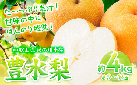 【先行予約】和歌山紀の川市産の豊水梨 約4kg （約9玉～13玉）紀の川市厳選館 《2026年8月中旬-9月上旬頃出荷》 和歌山県 紀の川市 果物 フルーツ なし ナシ 