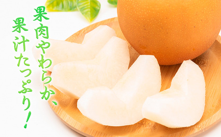 【先行予約】和歌山紀の川市産の豊水梨 約4kg （約9玉～13玉）紀の川市厳選館 《2026年8月中旬-9月上旬頃出荷》 和歌山県 紀の川市 果物 フルーツ なし ナシ 