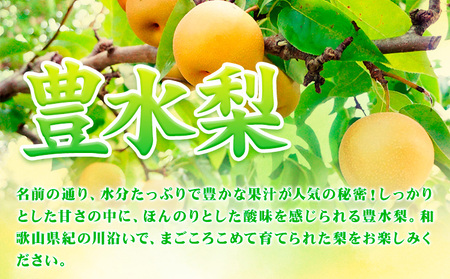 【先行予約】和歌山紀の川市産の豊水梨 約4kg （約9玉～13玉）紀の川市厳選館 《2026年8月中旬-9月上旬頃出荷》 和歌山県 紀の川市 果物 フルーツ なし ナシ 