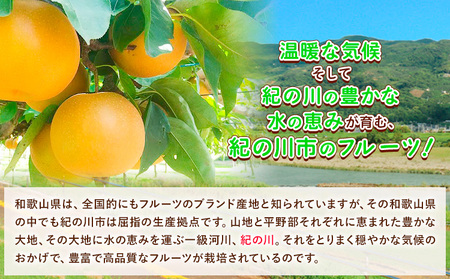 【先行予約】和歌山紀の川市産の豊水梨 約4kg （約9玉～13玉）紀の川市厳選館 《2026年8月中旬-9月上旬頃出荷》 和歌山県 紀の川市 果物 フルーツ なし ナシ 