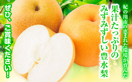 【先行予約】和歌山紀の川市産の豊水梨 約4kg （約9玉～13玉）紀の川市厳選館 《2026年8月中旬-9月上旬頃出荷》 和歌山県 紀の川市 果物 フルーツ なし ナシ 