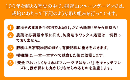 ドライイチジクとなちゅるん(みかん味)のセット 各1袋 有限会社柑香園 《30日以内に出荷予定(土日祝除く)》 和歌山県 紀の川市 フルーツ 果物 柑橘 添加物不使用 ゼリー ドライフルーツ みかん イチジク いちじく 送料無料