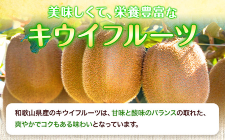 先行予約 和歌山県産 キウイフルーツ 約3.6kg 約20玉～36玉前後 前商店