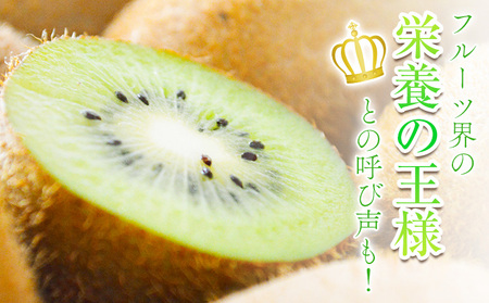 先行予約 和歌山県産 キウイフルーツ 約3.6kg 約20玉～36玉前後