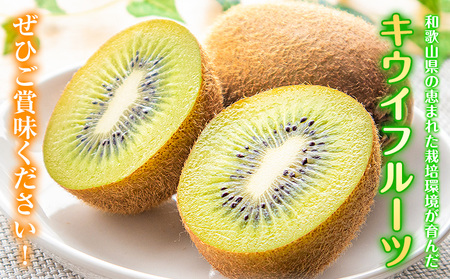 先行予約 和歌山県産 キウイフルーツ 約3.6kg 約20玉～36玉前後 前商店