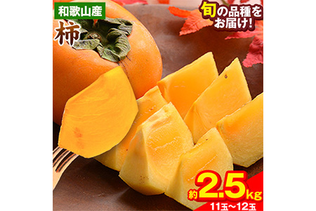 柿 25kg (1kg=4ー6個) - 果物