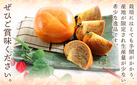 【先行予約】紀の川柿たっぷり 約3.6kg 秀品 紀の川市厳選館 《2026年10月上旬-11月末頃出荷予定》 和歌山県 紀の川市 柿 カキ かき ジューシー フルーツ