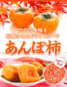 和歌山県産 あんぽ柿 70g×8個セット 紀の川市厳選館 《90日以内に出荷予定(土日祝除く)》 和歌山県 紀の川市 種なし柿 干し柿 ドライフルーツ カキ かき ジューシー フルーツ 和菓子