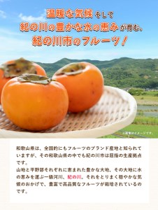 和歌山県産 あんぽ柿 70g×8個セット 紀の川市厳選館 《90日以内に出荷予定(土日祝除く)》 和歌山県 紀の川市 種なし柿 干し柿 ドライフルーツ カキ かき ジューシー フルーツ 和菓子