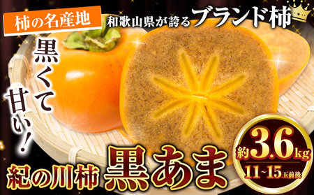 【先行予約】紀の川市産 黒あま 種なし 約3.6kg（12～15玉前後）4L～2Lサイズ《2024年10月上旬-11月上旬頃出荷》｜くろあま柿黒あま柿たねなし柿紀の川柿カキかき柿ブランド柿柿の名産地種なし柿くろあま柿黒あま柿たねなし柿紀の川柿カキかき柿ブランド柿柿の名産地種なし柿くろあま柿黒あま柿たねなし柿紀の川柿カキかき柿ブランド柿柿の名産地種なし柿くろあま柿黒あま柿たねなし柿紀の川柿カキかき柿ブランド柿柿の名産地種なし柿くろあま柿黒あま柿たねなし柿紀の川柿カキかき柿ブランド柿柿の名産地種なし柿くろあま柿黒あま柿たねなし柿紀の川柿カキかき柿ブランド柿柿の名産地種なし柿くろあま柿黒あま柿たねなし柿紀の川柿カキかき柿ブランド柿柿の名産地種なし柿くろあま柿黒あま柿たねなし柿紀の川柿カキかき柿ブランド柿柿の名産地種なし柿くろあま柿黒あま柿たねなし柿紀の川柿カキかき柿ブランド柿柿の名産地種なし柿くろあま柿黒あま柿たねなし柿紀の川柿カキかき柿ブランド柿柿の名産地種なし柿くろあま柿黒あま柿たねなし柿紀の川柿カキかき柿ブランド柿柿の名産地種なし柿くろあま柿黒あま柿たねなし柿紀の川柿カキかき柿ブランド柿柿の名産地種なし柿