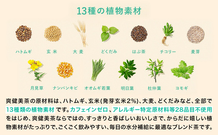 3ヶ月定期便 爽健美茶600ml×24本 コカ・コーラボトラーズジャパン《お申込み月翌月から出荷開始》お茶お茶お茶