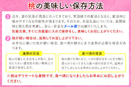 【先行予約】和歌山の桃 約4kg (約12~15玉入) 岸武青果株式会社《2025年6月下旬-8月末頃出荷》｜桃 もも モモ フルーツ 果物 白鳳 清水白桃 川中島白桃  和歌山県産の桃 紀の川市の桃 和歌山の桃