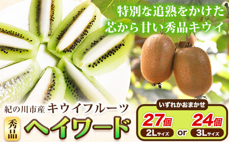 キウイフルーツ 秀品 紀の川市産キウイフルーツ ヘイワード(3Lサイズ24個もしくは2Lサイズ27個のいずれかおまかせ) 和田果樹園【先行予約】《2026年1月中旬-3月中旬頃出荷》 キウイキウイ