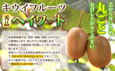 キウイフルーツ 秀品 紀の川市産キウイフルーツ ヘイワード(3Lサイズ24個もしくは2Lサイズ27個のいずれかおまかせ) 和田果樹園【先行予約】《2026年1月中旬-3月中旬頃出荷》 キウイキウイ