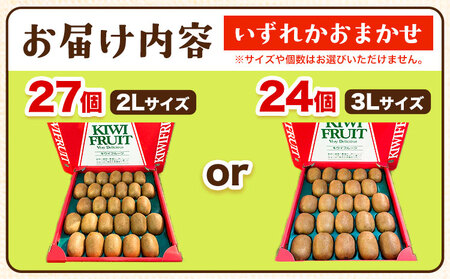 キウイフルーツ 秀品 紀の川市産キウイフルーツ ヘイワード(3Lサイズ24個もしくは2Lサイズ27個のいずれかおまかせ) 和田果樹園【先行予約】《2026年1月中旬-3月中旬頃出荷》 キウイキウイ