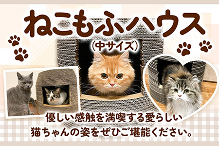 猫用品 ねこちぐら ねこもふハウス（中サイズ） 濱田紙販売株式会社 猫