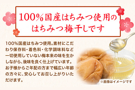 紀州南高梅使用はちみつうす塩味完熟梅干し1kg(無選別） 紀の川市厳選