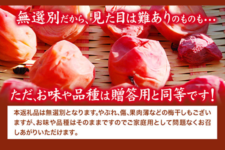 紀州南高梅使用はちみつうす塩味完熟梅干し1kg(無選別） 紀の川市厳選館《30日以内に出荷予定》