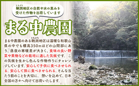うすいえんどう豆 約1kg《5月下旬-6月下旬頃出荷》