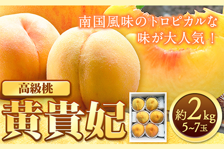 桃 もも 黄貴妃 約2kg 5-7玉入り 嶋農園《2025年9月上旬-9月末頃出荷》 和歌山県 紀の川市 桃 もも モモ フルーツ 果物 送料無料