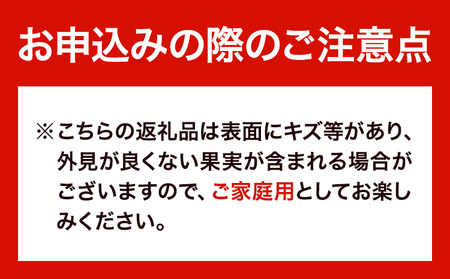 清見オレンジ 10kg ときわオンライン《2026年1月中旬-2026年4月上旬頃出荷》 和歌山県 紀の川市 フルーツ 果物 清見 オレンジ 柑橘 送料無料