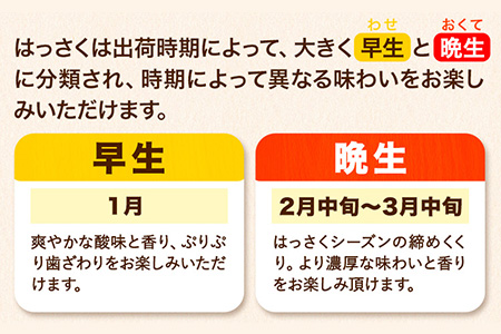  【訳あり 】はっさく 約9kg (4L~Sサイズ)早生･晩生指定不可 《2025年2月上旬-4月中旬頃出荷》｜八朔はっさく八朔はっさく八朔はっさく八朔はっさく八朔はっさく八朔はっさく八朔はっさく八朔はっさく八朔はっさく八朔はっさく八朔はっさく八朔はっさく八朔はっさく八朔はっさく八朔はっさく八朔はっさく八朔はっさく八朔はっさく八朔はっさく八朔はっさく八朔はっさく八朔はっさく八朔はっさく八朔はっさく八朔はっさく八朔はっさく八朔はっさく八朔はっさく八朔はっさく八朔はっさく八朔はっさく八朔はっさく八朔はっさく八朔はっさく八朔はっさく八朔はっさく八朔はっさく八朔はっさく八朔はっさく八朔はっさく八朔はっさく八朔はっさく八朔はっさく八朔はっさく八朔はっさく八朔はっさく八朔はっさく八朔はっさく八朔はっさく八朔はっさく八朔はっさく八朔はっさく八朔はっさく八朔はっさく八朔はっさく八朔はっさく八朔はっさく八朔はっさく八朔はっさく八朔はっさく八朔はっさく八朔はっさく八朔はっさく八朔はっさく八朔はっさく八朔はっさく八朔はっさく八朔はっさく八朔はっさく八朔はっさく八朔はっさく八朔はっさく八朔はっさく八朔はっさく八朔はっさく八朔はっさく八朔はっさく八朔はっさく八朔はっさく八朔はっさく八朔はっさく八朔はっさく八朔はっさく八朔はっさく八朔はっさく八朔はっさく八朔はっさく八朔はっさく八朔はっさく八朔はっさく八朔はっさく八朔はっさく八朔はっさく八朔はっさく八朔はっさく八朔はっさく八朔はっさく八朔はっさく八朔はっさく八朔はっさく八朔はっさく八朔はっさく八朔はっさく八朔はっさく八朔はっさく八朔はっさく八朔はっさく八朔はっさく八朔はっさく八朔はっさく八朔はっさく八朔はっさく八朔はっさく八朔はっさく八朔はっさく八朔はっさく八朔はっさく八朔はっさく八朔はっさく八朔はっさく八朔はっさく八朔はっさく八朔はっさく八朔はっさく八朔はっさく八朔はっさく八朔はっさく八朔はっさく