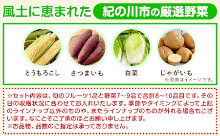 紀の川市の恵み 旬のフルーツ＆野菜セット 計8~10品《30日以内に出荷予定(土日祝除く)》