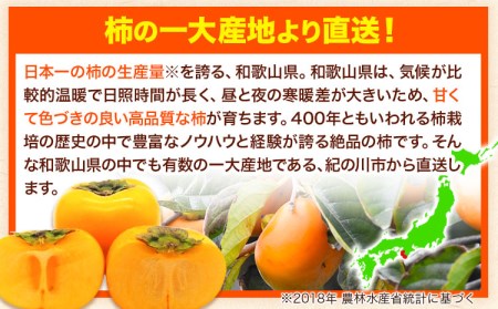 柿 かき お試し用！ 【先行予約】たねなし柿（刀根早生柿・平核無柿