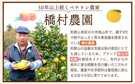 ふるさと納税 桃 モモ【 3回 定期便 】あら川の桃 約1.8kg~