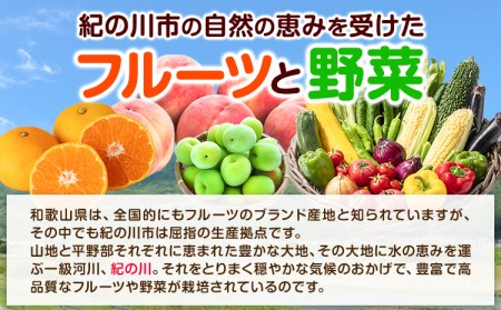 野菜 野菜セット【3ヶ月定期便】紀の川市の恵み 旬のフルーツ＆野菜セット 計8~10品《お申込み月翌月から出荷開始》｜フルーツ 果物 野菜定期便