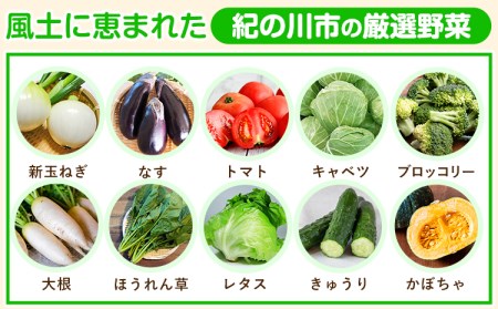 野菜 野菜セット【3ヶ月定期便】紀の川市の恵み 旬のフルーツ＆野菜セット 計8~10品《お申込み月翌月から出荷開始》｜フルーツ 果物 野菜定期便