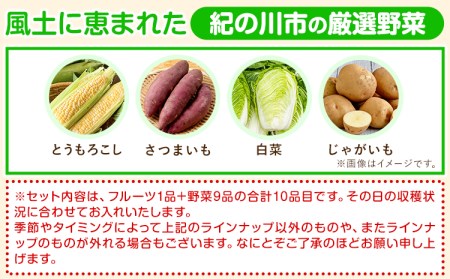 野菜 野菜セット【3ヶ月定期便】紀の川市の恵み 旬のフルーツ＆野菜セット 計8~10品《お申込み月翌月から出荷開始》｜フルーツ 果物 野菜定期便