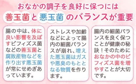 森永乳業 毎朝爽快Light ピーチレモネード味 125ml×24本 株式会社紀和 《90日以内に出荷予定(土日祝除く)》 和歌山県 紀の川市 低カロリー 機能性表示食品 飲料 送料無料