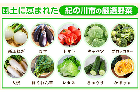 紀の川市の恵み 旬のフルーツ&野菜セット 計3~5品《30日以内に出荷予定(土日祝除く)》