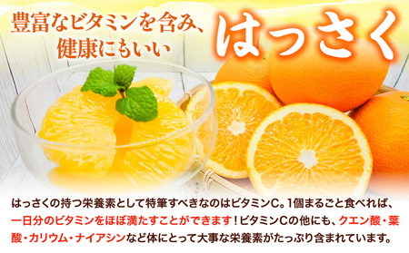 八朔 約10kg ｍ＆ｎ果実園《2026年1月下旬-3月中旬頃出荷》和歌山県 紀の川市 果物 フルーツ はっさく 柑橘類 送料無料