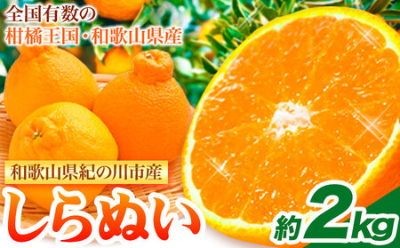 【先行予約】和歌山県紀の川市産 不知火 約2kg 岸武青果株式会社《2025年4月上旬-6月上旬頃出荷》 和歌山県 紀の川市 しらぬい 不知火 果物 フルーツ みかん 柑橘 2kg 送料無料