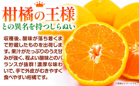 【先行予約】和歌山県紀の川市産 不知火 約2kg 岸武青果株式会社《2025年4月上旬-6月上旬頃出荷》 和歌山県 紀の川市 しらぬい 不知火 果物 フルーツ みかん 柑橘 2kg 送料無料