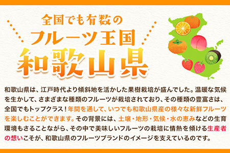 【先行予約】【ふるさと納税】和歌山県紀の川市産 はるみ 約2kg 岸武青果株式会社《2025年3月上旬-5月下旬頃出荷》 和歌山県 紀の川市 はるみ 春見 果物 フルーツ 柑橘 2kg 送料無料